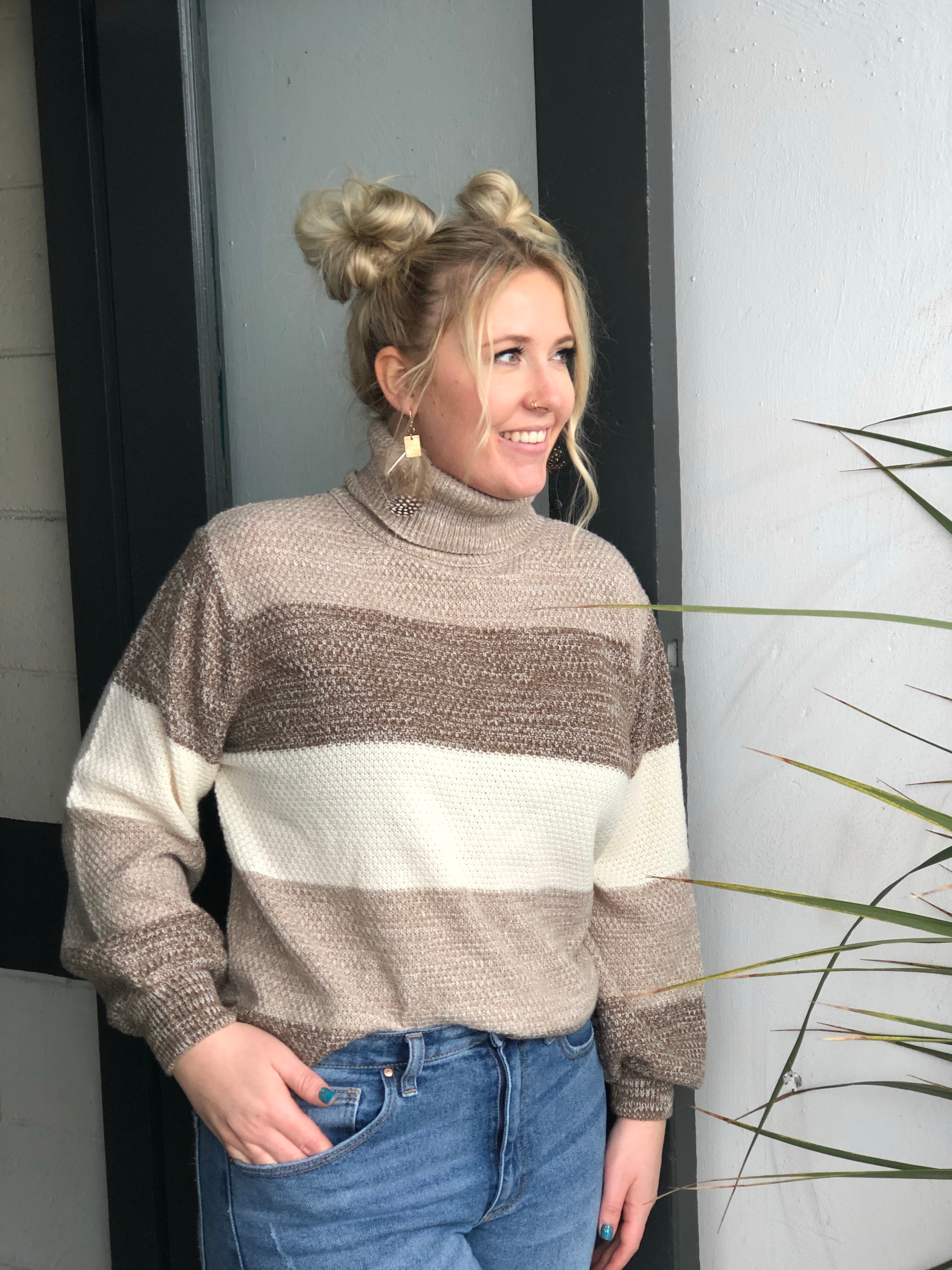 Mocha Stripe Turtleneck